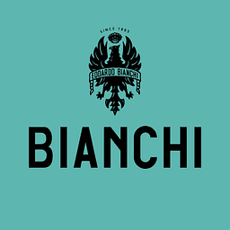 Bianchi logo - tech saas brand identity design