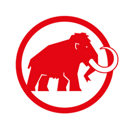 Mammut logo - tech saas brand identity design