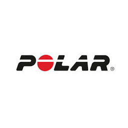 Polar logo - tech saas brand identity design