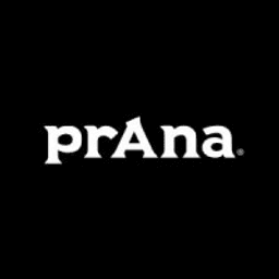 Prana logo - tech saas brand identity design