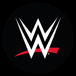 Wwe logo - tech saas brand identity design